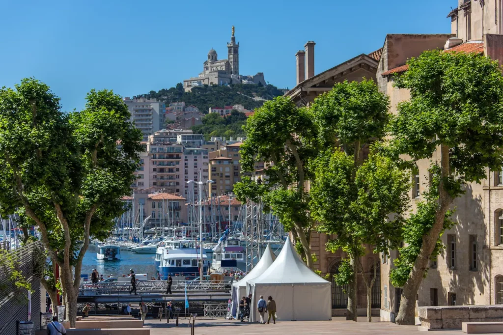 Punaises de lit marseilles 13001